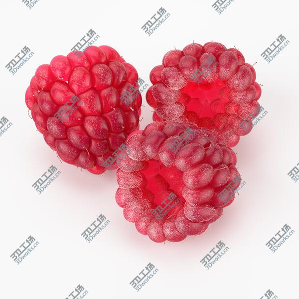 images/goods_img/20210312/Realistic Raspberry/1.jpg